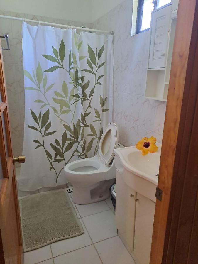 Hostal Avareipua ハンガ・ロア エクステリア 写真